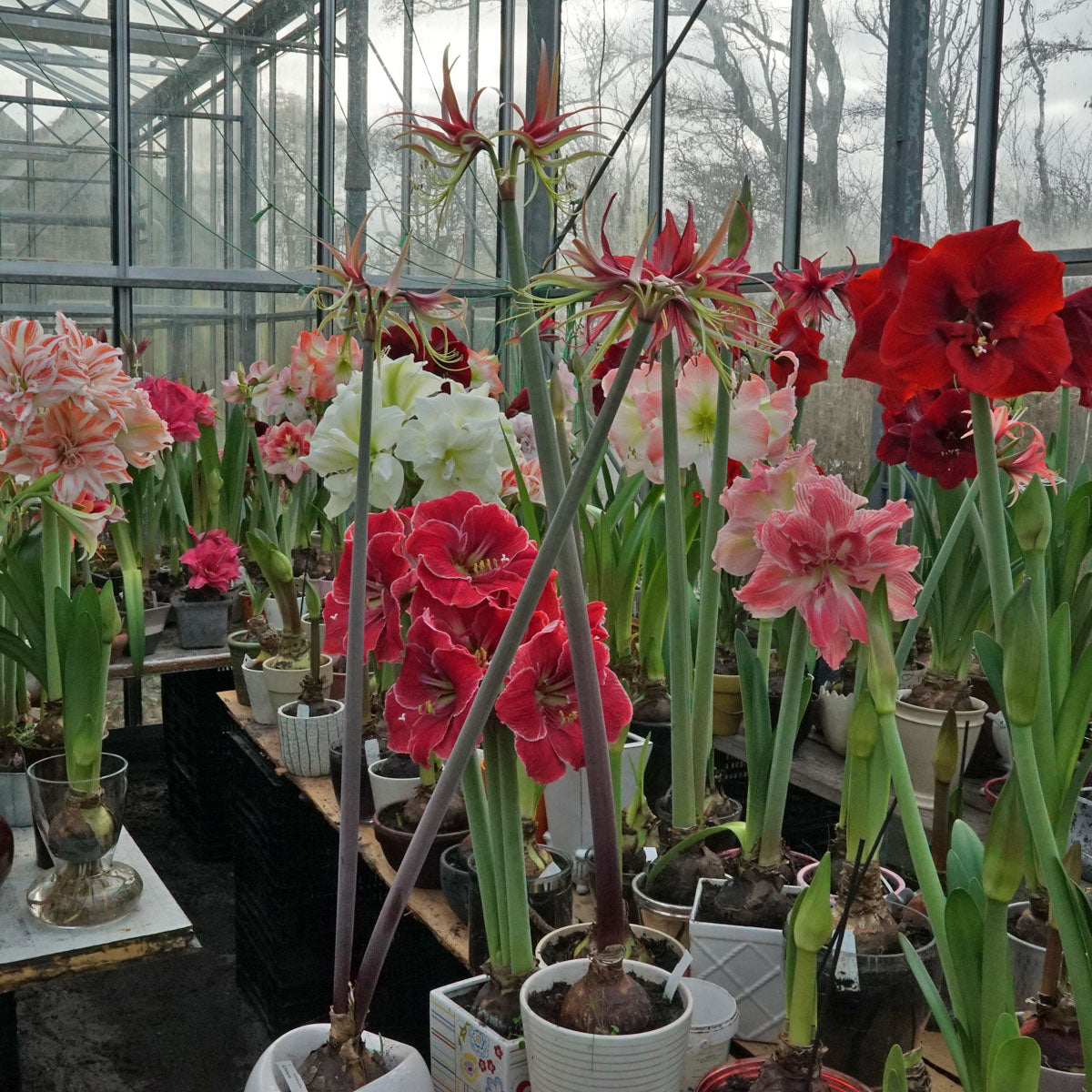 Fantastisch, we hebben een nieuwe webwinkel.