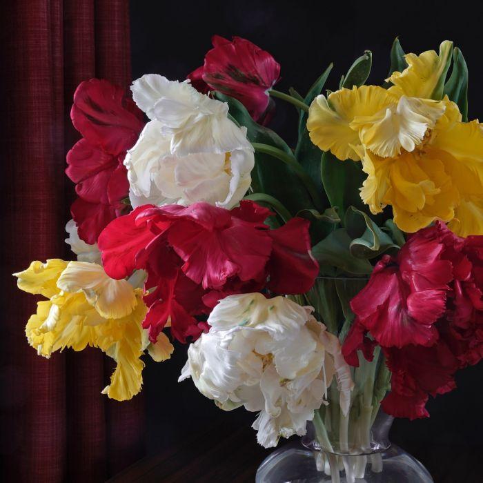 “Het gaat altijd anders dan je denkt”