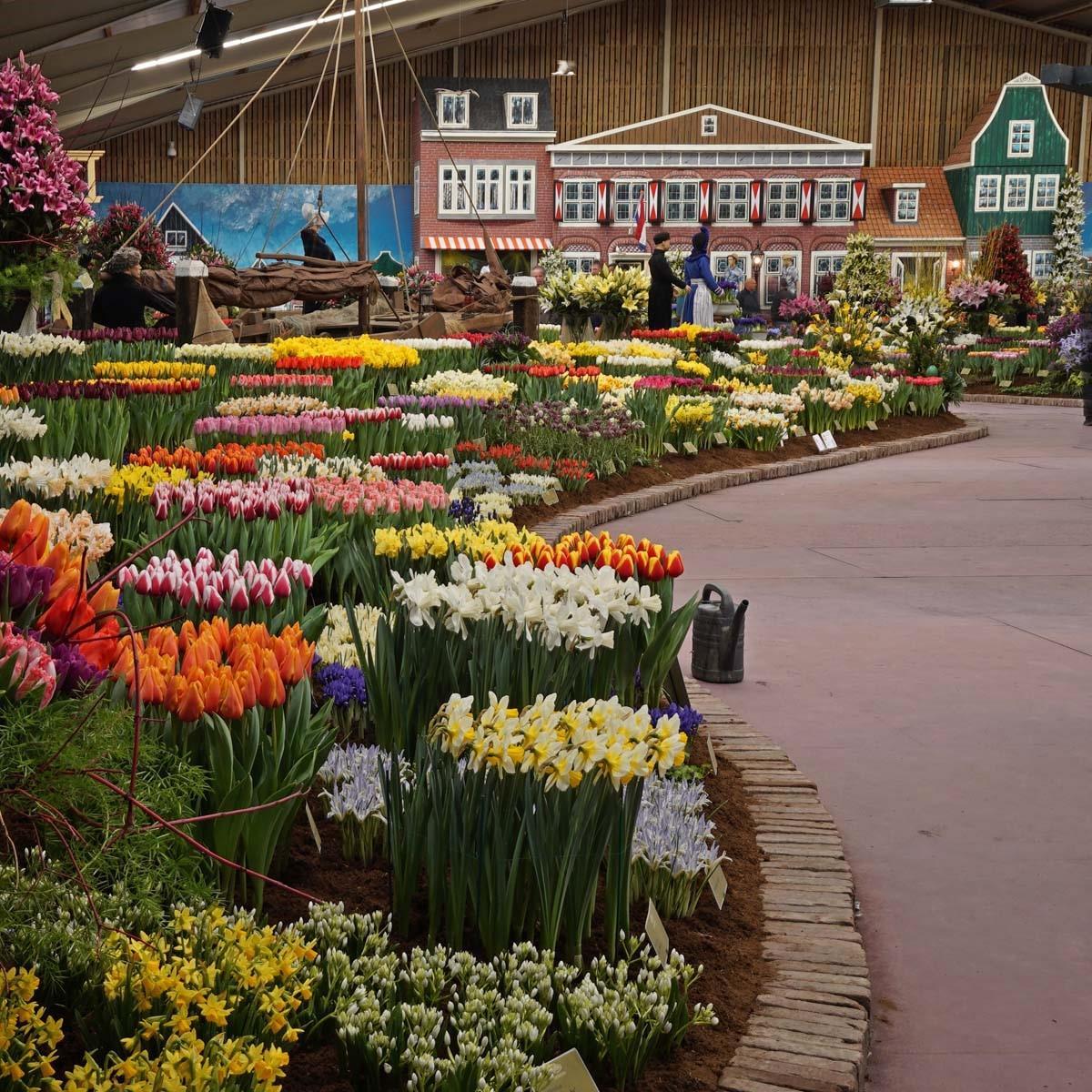 Lentetuin Breezand - fluwelnl