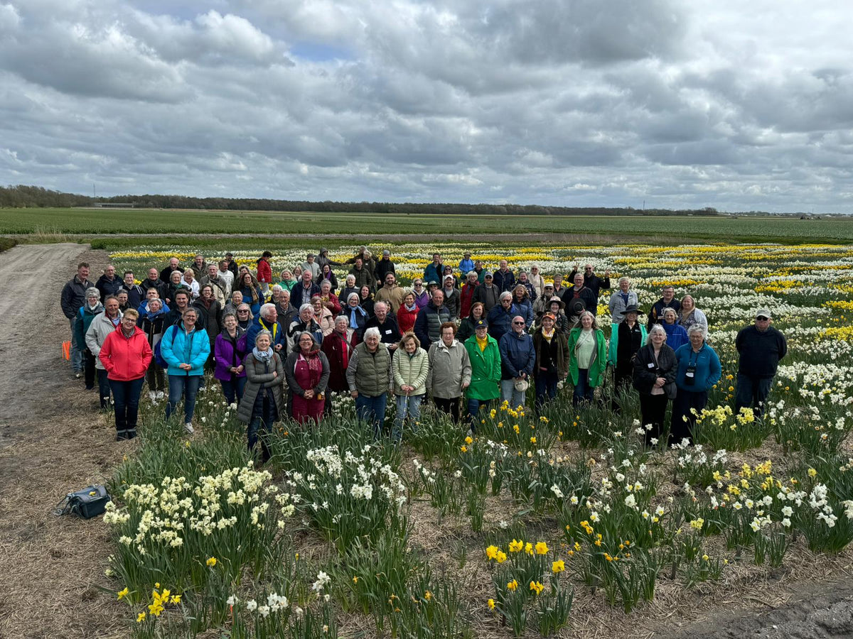 The World Daffodil Tour 2024 - fluwelnl
