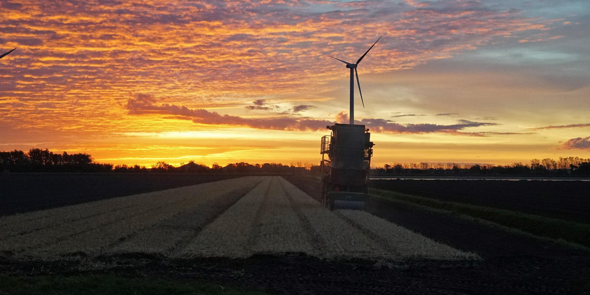 Wat gebeurt er in de polder? - fluwelnl