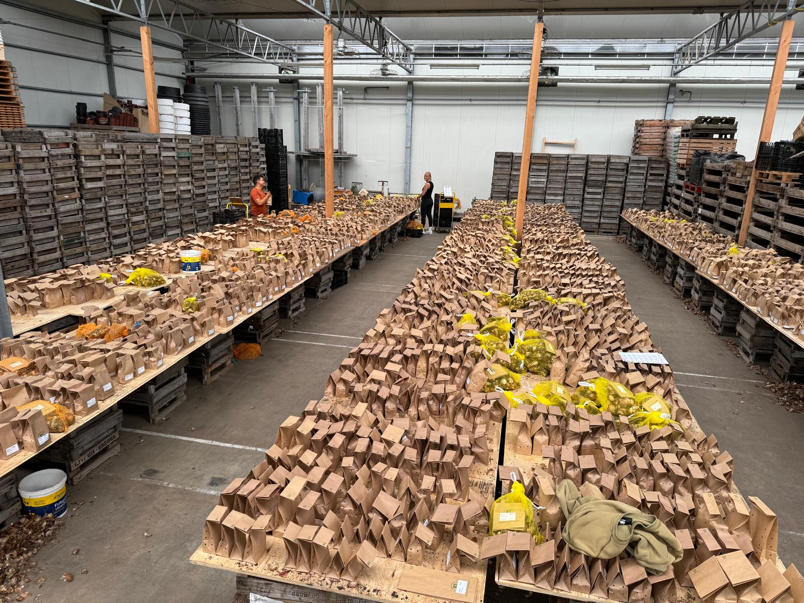 Zomervakantie… of toch niet? - fluwelnl