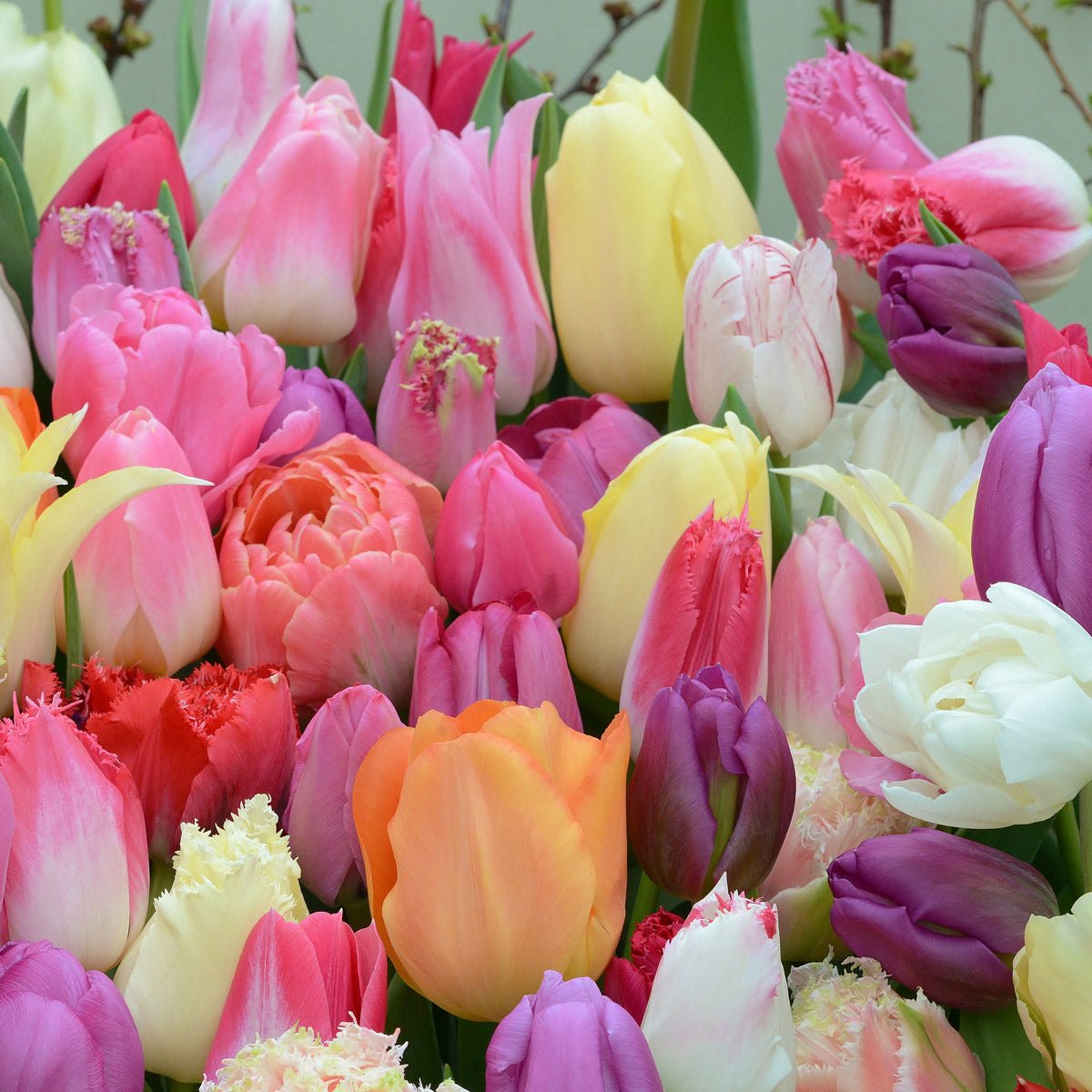 Mengsels en combinaties - Fluwel