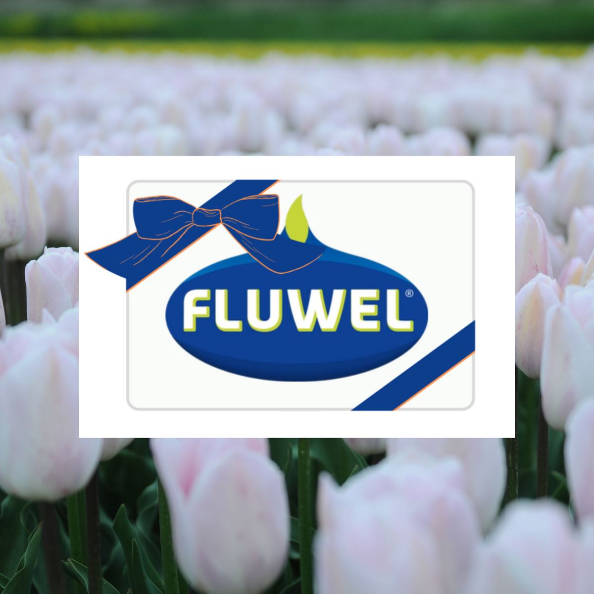 Product picture of the Fluwel gift card