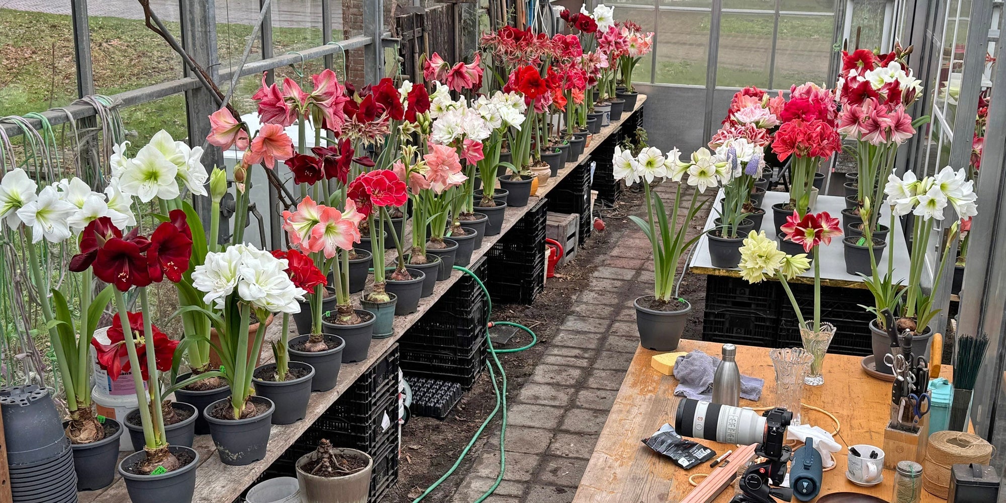 Lekker porrelen in mijn kasje