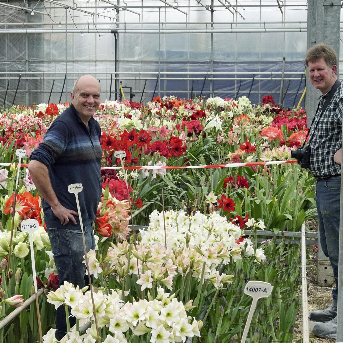 De Winterdip - fluwelnl