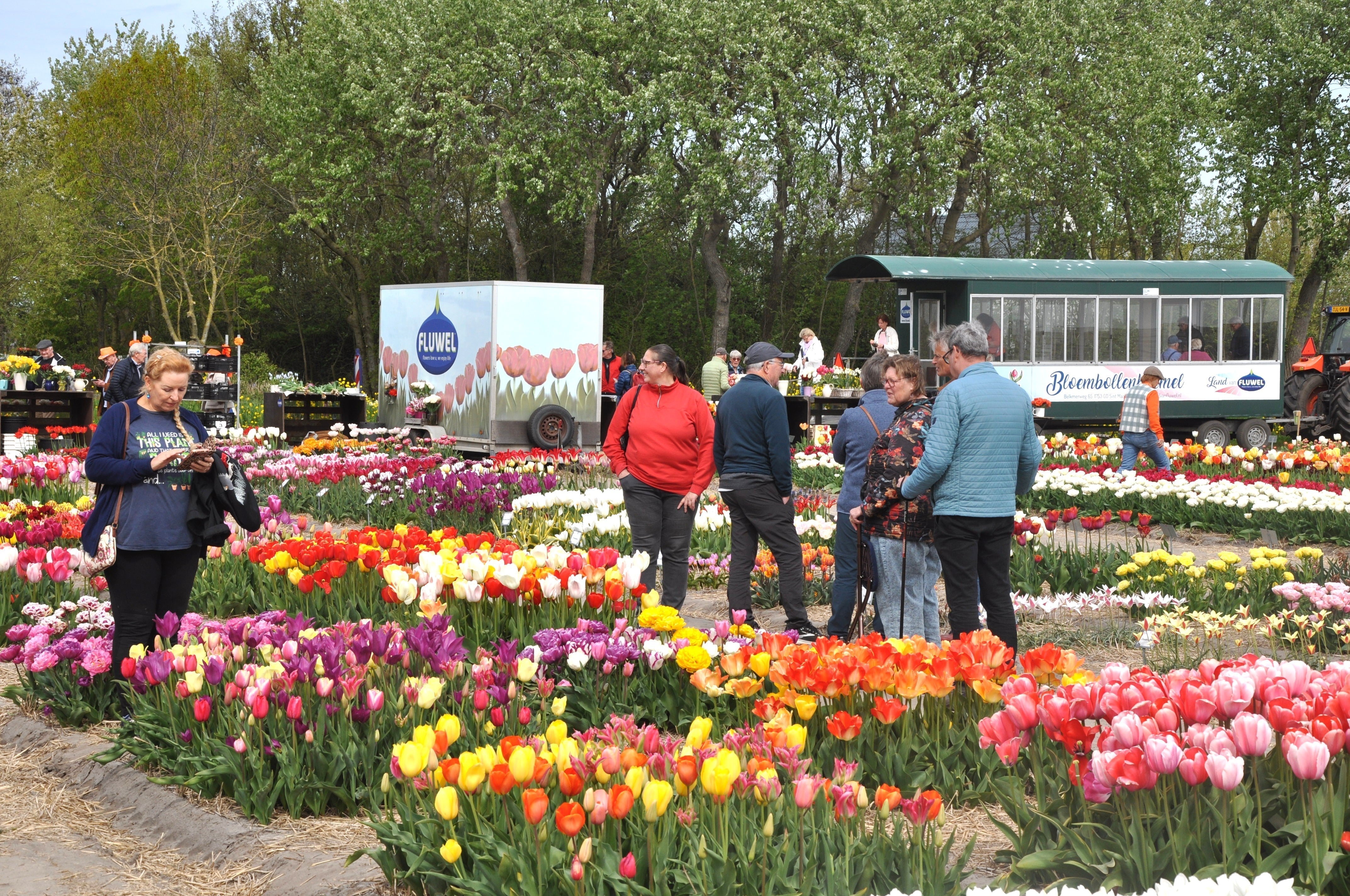 De eerste Fluwel Experience