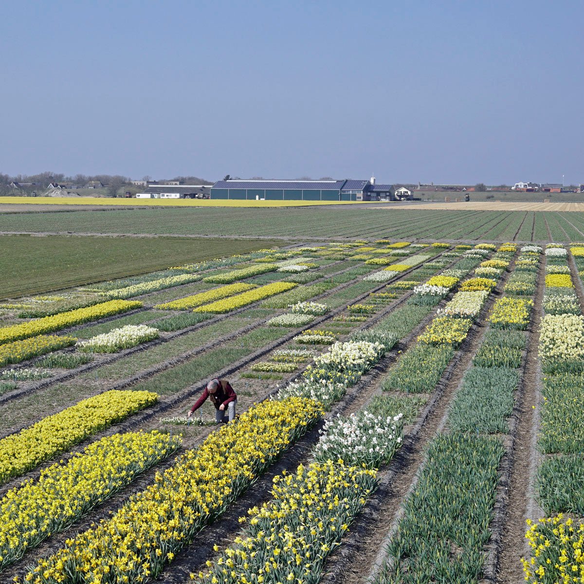 Mooi, mooier en nog mooier en dat driehonderdeenenvijftig keer - fluwelnl
