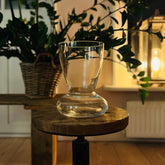 Amaryllis vase mit Amaryllis