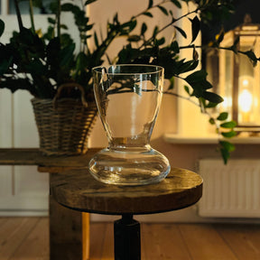 Amaryllis vase mit Amaryllis