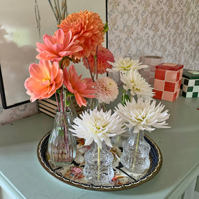 Dahlie Plukkie Plukkie mix