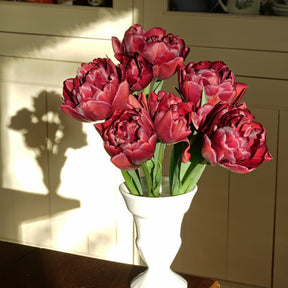 Alison Bradley - Tulips - Fluwel