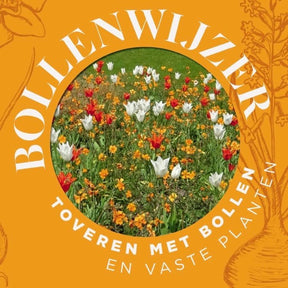 Bollenwijzer Toveren Met Bollen En Vaste Planten - Gift - Fluwel
