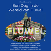 Fluwel Experience - Experience - Fluwel