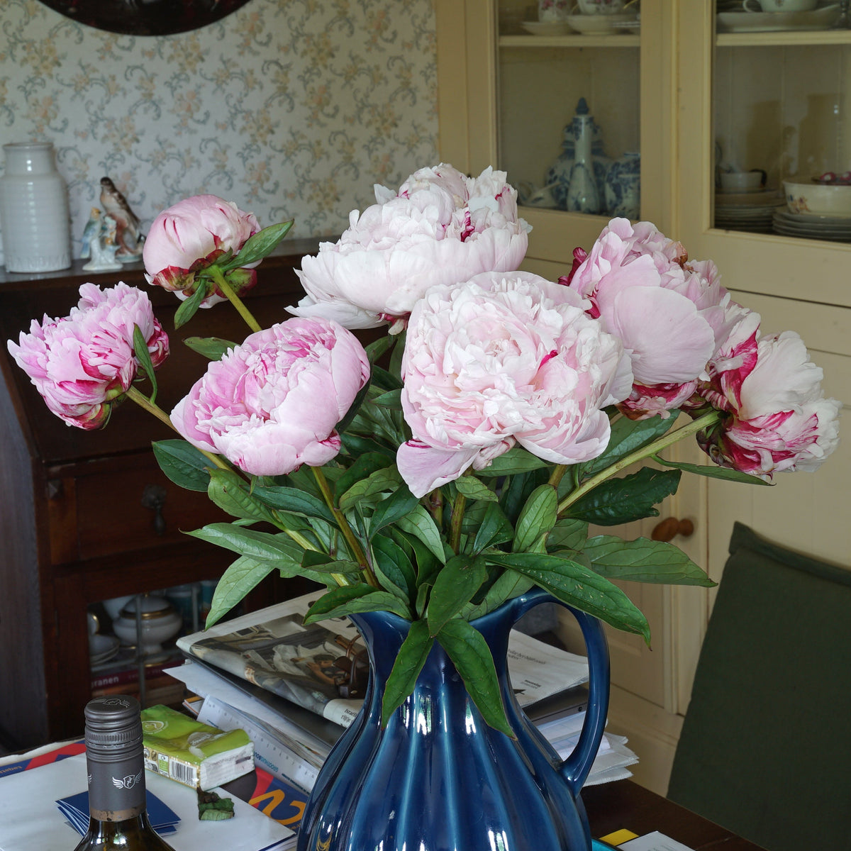 Peony Sarah Bernhardt - roze pioenroos - Fluwel