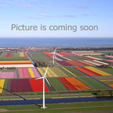 Picture is coming soon