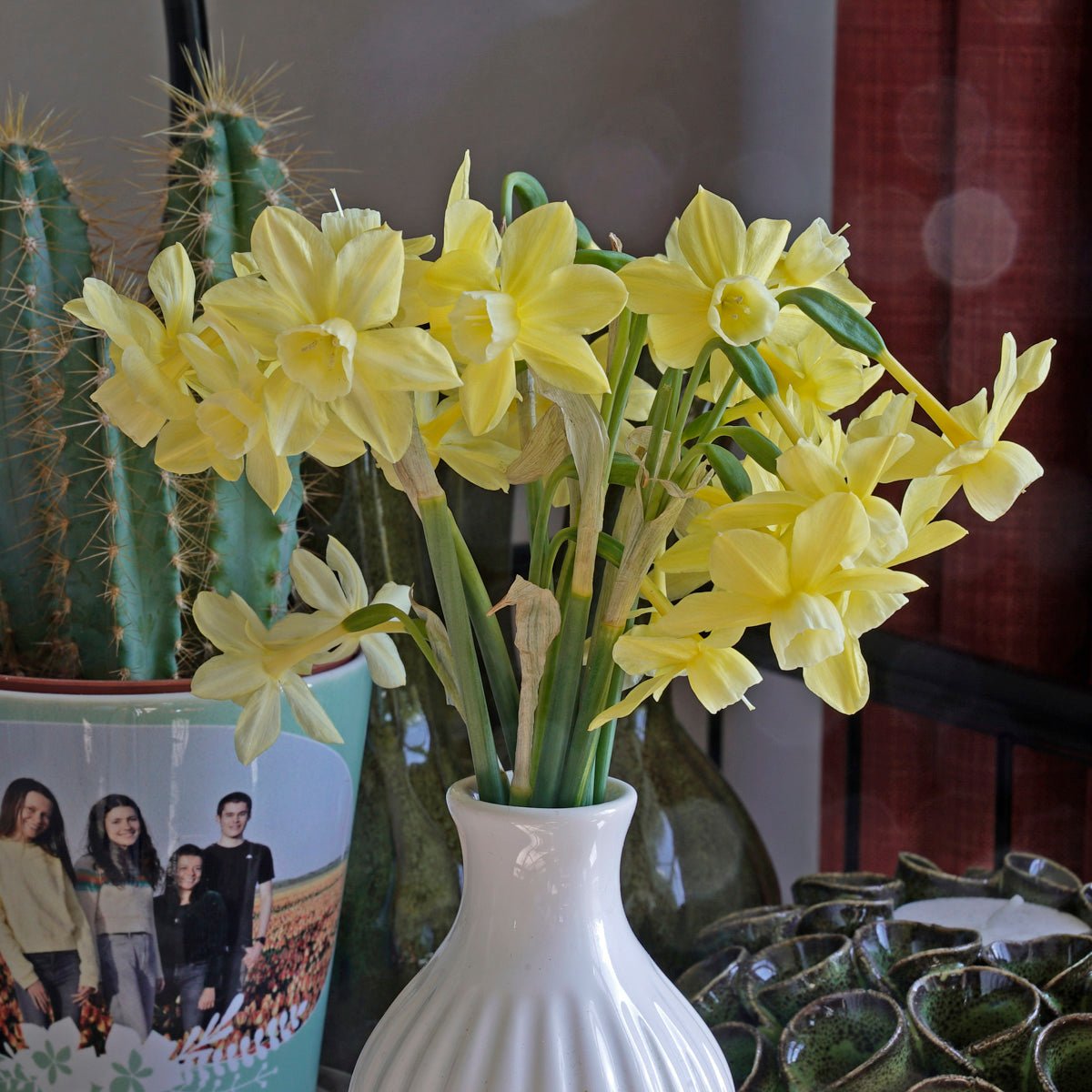 Woodstar - Special Narcissus - Fluwel