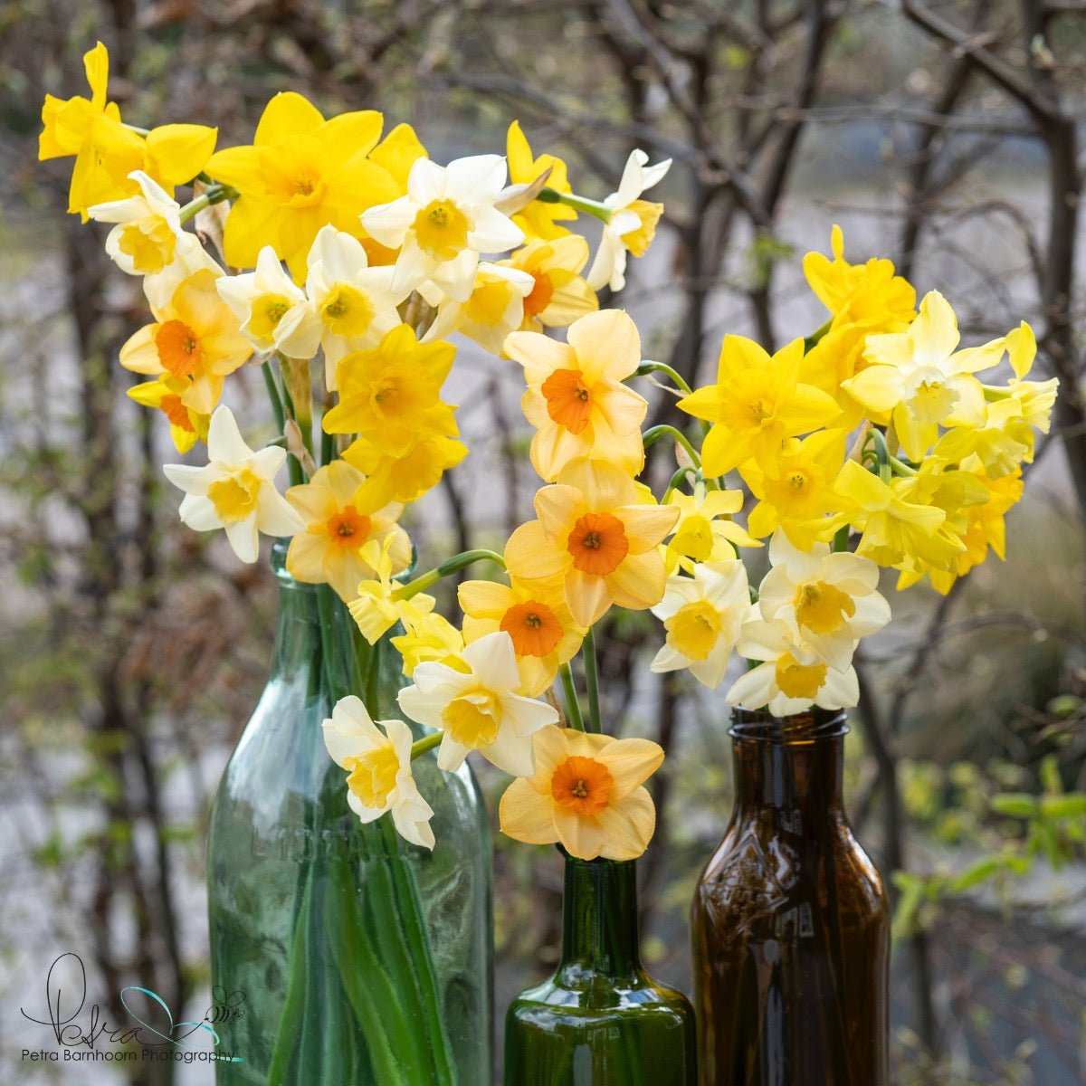 Evan Scent™ - Mixes - Fluwel