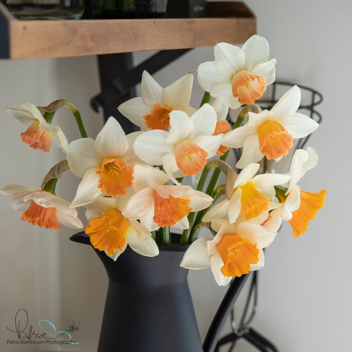 Pink Blush - Mixes - Fluwel