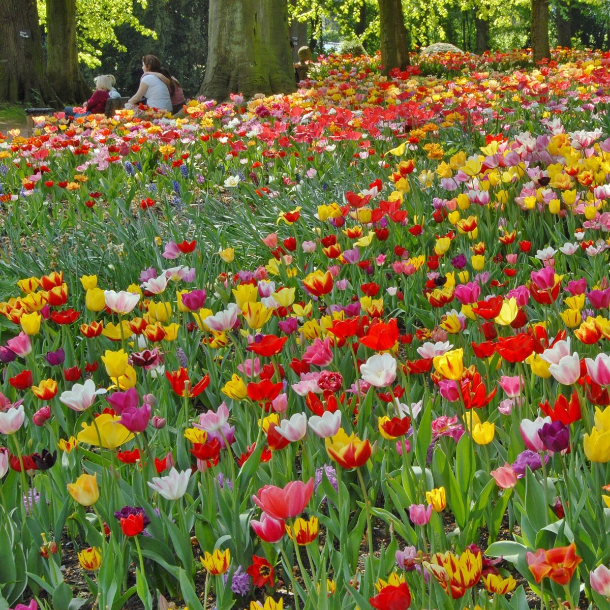 Tutti Tulpi - Mixes - Fluwel